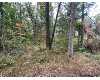 Click here to View Real Estate near 8414 south garfield street Idlewild, MI 49642 homes near 8414 south garfield street Idlewild, MI 49642