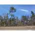 Carver School Rd, (off), Cope, SC - MLS 31839