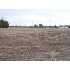 1647 Legrande Smoak Rd., Cordova, SC - MLS 31889