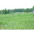 1573 Kingcrest Dr., Loris, SC - MLS 802812