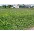 Lot 3 Park Place, Moose Lake, MN - MLS 3404653