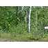 Lot 6 Lost River Rd, Sandstone, MN - MLS 3422162