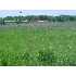 XXX Park Place, Moose Lake, MN - MLS 3404642