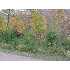 XXX Rhine Creek Rd, Finlayson, MN - MLS 3452039
