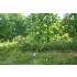 362 Ridenours Way, Falls of Rough, KY - MLS 49063