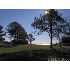 5205 Albemarle Dr., Oriental, NC - MLS 66094