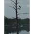 Waters Edge Lane 12, Oriental, NC - MLS 66522