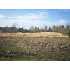1219 Angel Dr, Avilla, AR - MLS 10189071