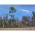 Near Piney Church Rd., Cope, SC - MLS 32161