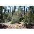 Lot 33 Strawberry Hollow, Pine, AZ - MLS 55208