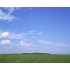 5610 Hwy 142, Philpot, KY - MLS 50800