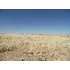 DR Unit 117, Deming, NM - MLS 20100450
