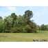 1509 Columbus Court, New Bern, NC - MLS 67145