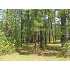 1806 Caracara Drive, New Bern, NC - MLS 67223