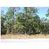 4706 Bayou Bluff Trl, Lynn Haven, FL - MLS 378271
