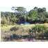 208 Gulf Ln, Panama City Beach, FL - MLS 375390