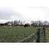 3371 East  750 North, MENAN, ID - MLS 151389