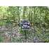 1152 JOHN SMITH ROAD, RUTHERFORDTON, NC - MLS 30934
