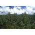 194 N Willow Street, Pine, AZ - MLS 56383