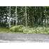5231 Big Maple Ct, Traverse City, MI - MLS 1699682