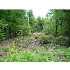 Lot 6 White Point Estates RD, Lincoln, ME - MLS 879402
