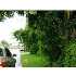 124 Nw 11th St, Pompano Beach, FL - MLS R2947347