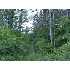 Lot 4 Beroun Crossing Rd, Brook Park, MN - MLS 3583396