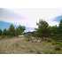 8631 N DALLY LN, Kingman, AZ - MLS 817715