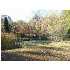 2333 BARREN FORK RD, TENNYSON, IN - MLS 158856