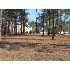 1102 Willow Pond, Leland, NC - MLS 411456