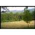 2713 Twin Falls Dr. Lot 1, Maryville, TN - MLS 693715