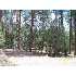 36 SUNDANCE CIRCLE, Pine, AZ - MLS 56712