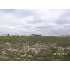 388 S Orchard Springs Dr, Pueblo West, CO - MLS 119753