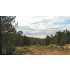 Zion Ridge Dr, Springdale, UT - MLS 08-103649
