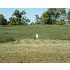 CROSS CREEK DRIVE LOT 19, LAINGSBURG, MI - MLS 167985