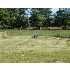 Cross Creek Drive Lot 30, LAINGSBURG, MI - MLS 167927