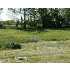 Old Farm Trail Lot 35, LAINGSBURG, MI - MLS 168013