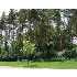 6256 MEREFORD COURT, EAST LANSING, MI - MLS 172541