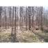 GANNON and FLEMING, FOWLERVILLE, MI - MLS 173365