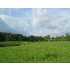 SKINNER HIGHWAY, DIMONDALE, MI - MLS 175188