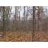 Tract 831 ., Roach, MO - MLS 3058341