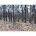 0 E County Road 125S, SELMA, IN - MLS 33033