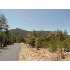 150 RUIN HILL LOOP, Pine, AZ - MLS 56769