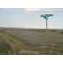 Lots 1 thru 12 Block 4, Molt, MT - MLS 184816