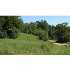 Nancytown Road, Mt. Airy, GA - MLS 85191