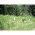 Lot 48 Sangamo Drive, Greenville, SC - MLS 166581