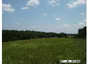 356 Driftwood, Murray, KY