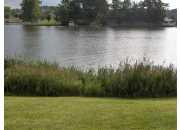 14670 We Diane Dr, Camden, MI