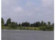 1795 Point Dr, Camden, MI