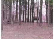 4280 Pine Bluff Dr, Grant, MI